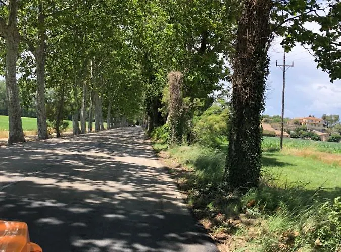 Mas Pinell Viu Be דירה Torroella de Montgrí